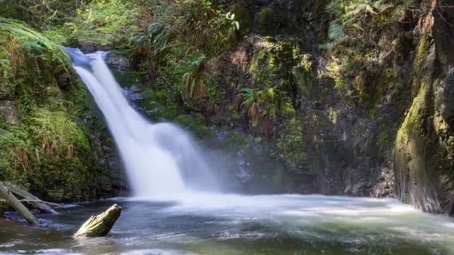 Goldstream Waterfall Walk