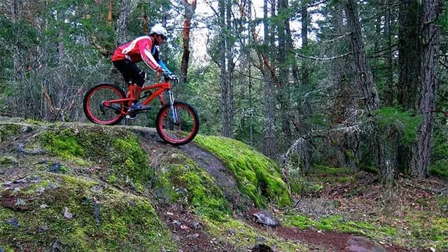 Hit the Trails at Hartland Mountain Bike Park