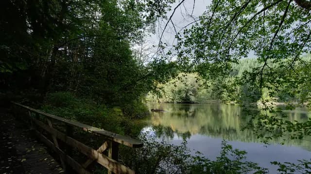 Loop Rice Lake