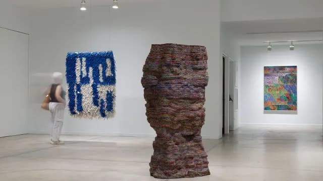 Vancouver Now! Emily Hermant at the Vancouver Art Gallery in Vancouver Art Gallery, downtown