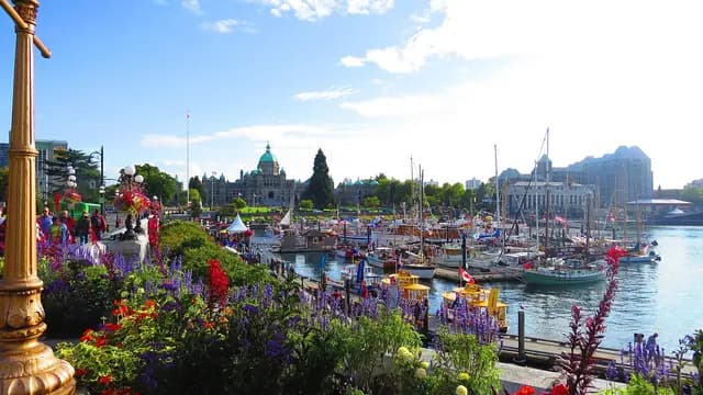 Inner Harbour Causeway & Buskers