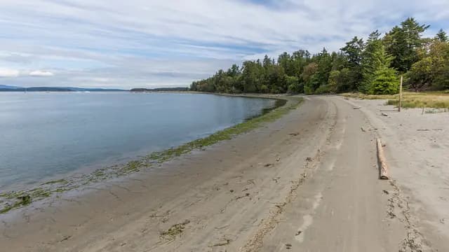 Sidney Spit Ferry Beach Day