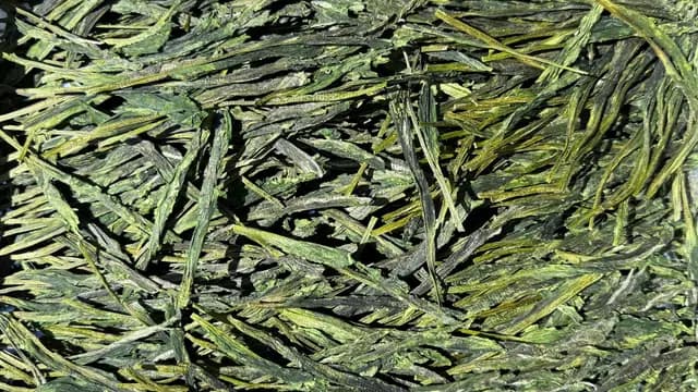 Sip Rare Tea Side-by-Side at O5