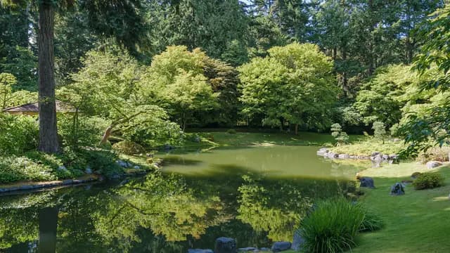 Find Stillness at Nitobe Memorial Garden