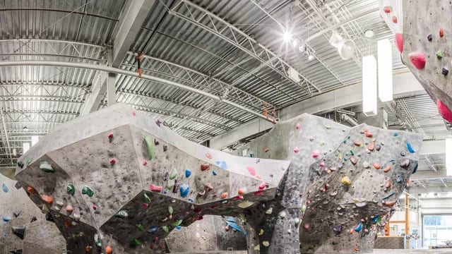 Climb the North Shore at The Hive