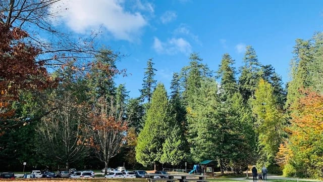 Play Pitch & Putt Under the Firs at Central Park