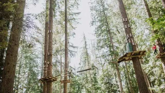 Zip and Climb at WildPlay Maple Ridge