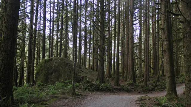 Chase the Lower Falls at Golden Ears