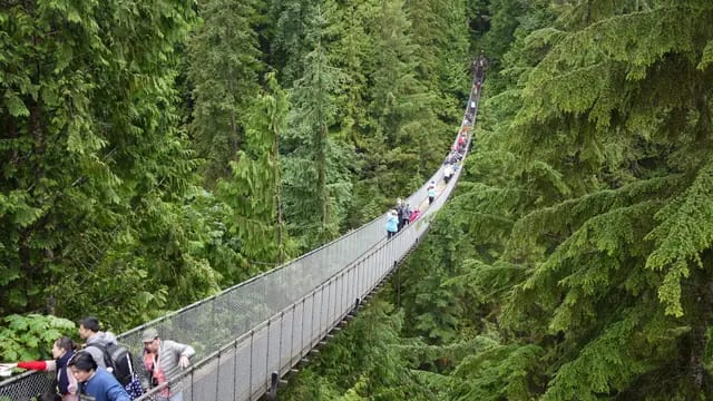 Brave the Capilano Suspension Bridge
