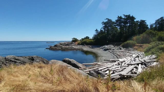Discovery Island Kayak Tour