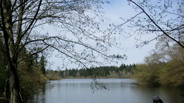 Paddle & Swim at Elk/Beaver Lake