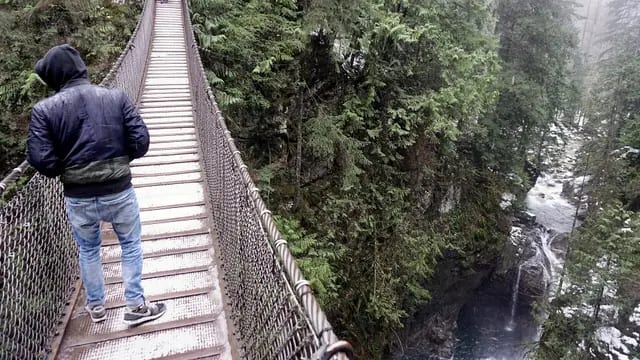 Lynn Canyon and the Free Suspension Bridge