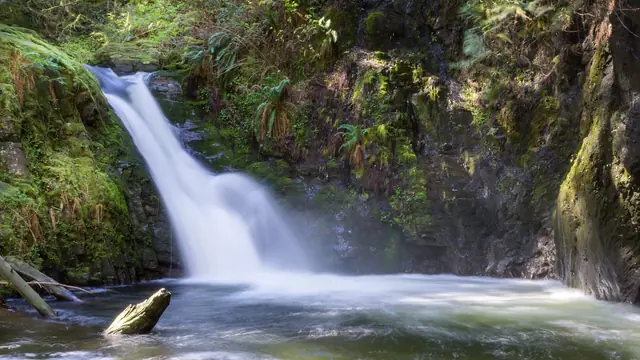 Goldstream Waterfall Walk