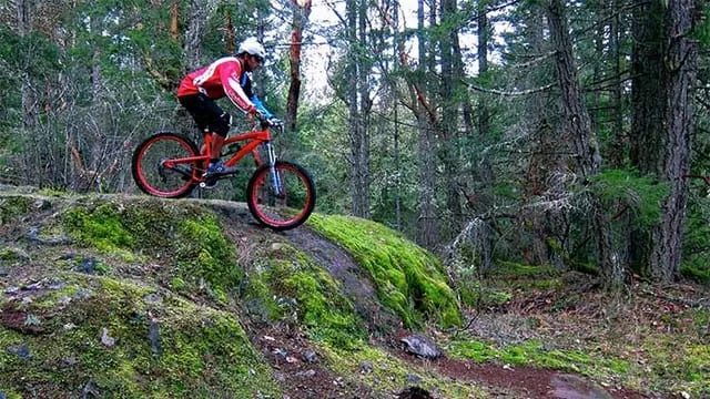 Hit the Trails at Hartland Mountain Bike Park