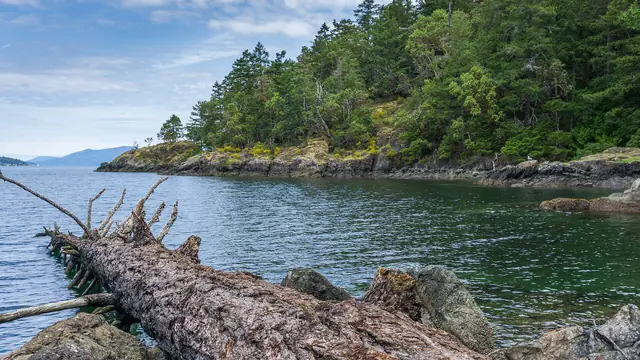 Jocelyn Hill Hike (Gowlland Tod)