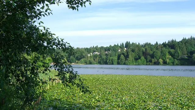 Stroll the Boardwalk Loop at Deer Lake