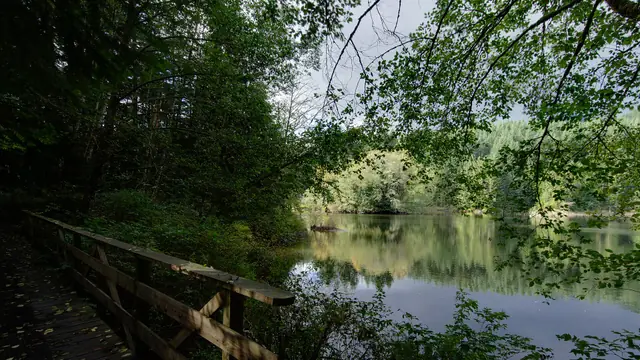 Loop Rice Lake