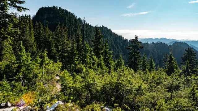 Scramble to Goat Mountain Above Grouse