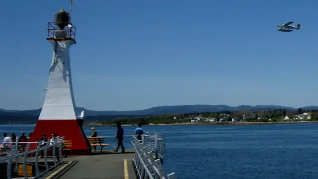 Snorkel the Ogden Point Reef