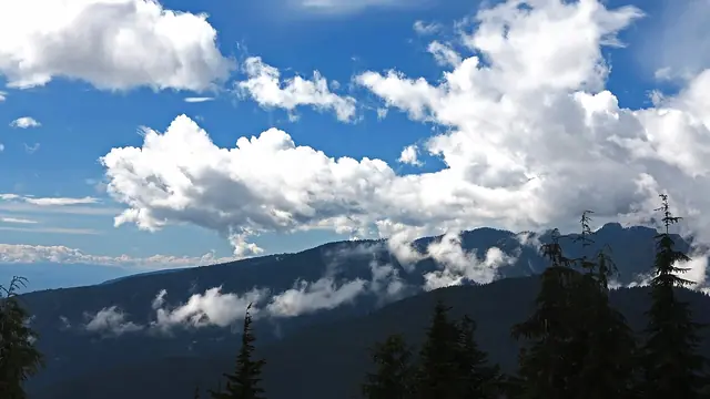 Snowshoe to Dog Mountain