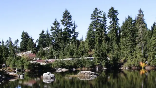 Swim an Alpine Lake at Mystery Lake