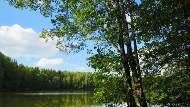 Swim and Loop Matheson Lake