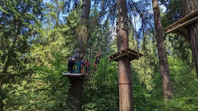 Treetop Ziplining at WildPlay
