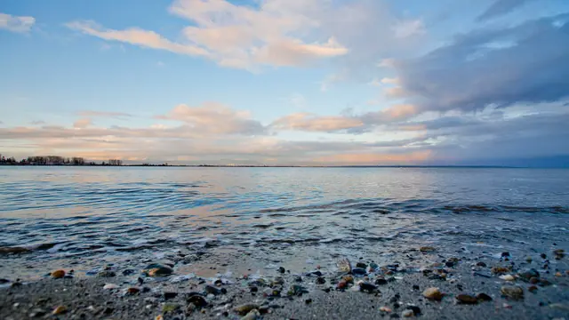 Walk the Boundary Bay Dyke from Centennial Beach