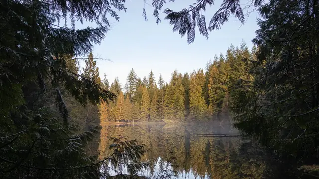 Wander the Mundy Park Forest Loop