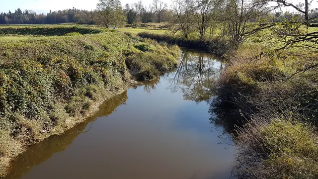 Wander the Trails at Campbell Valley Park