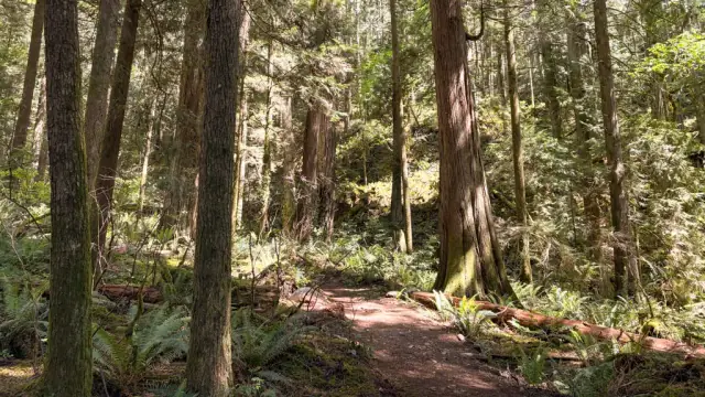 Hike to a Secluded Swim at Whyte Lake