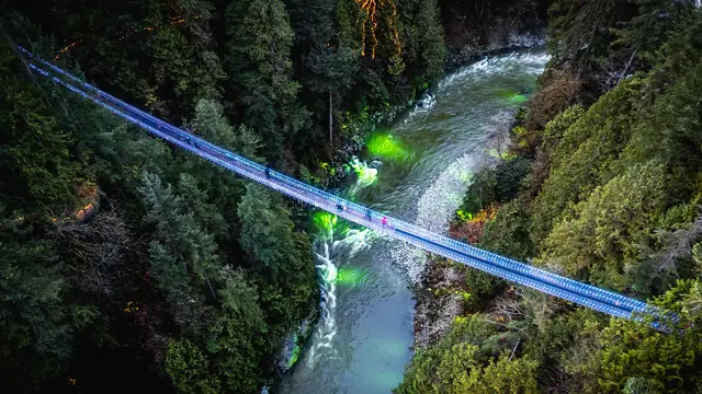 Canyon Lights at Capilano Suspension Bridge