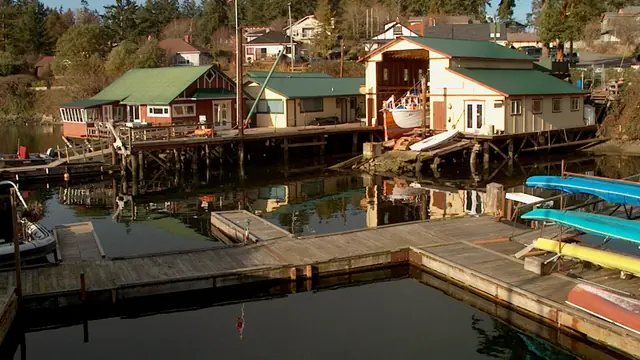 Little-Ferry Watching at Brentwood Wharf