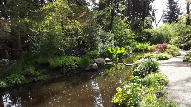 Rhododendron Wander at Finnerty Gardens