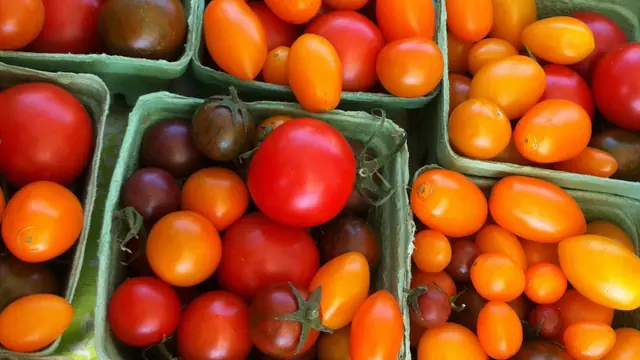 Saturday Browse at Moss Street Market