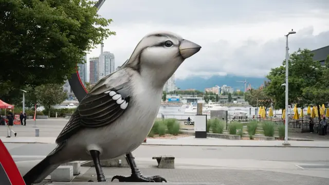 Meet the Giant Sparrows