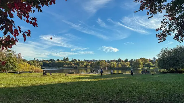 Saturday Grazing at Trout Lake Market