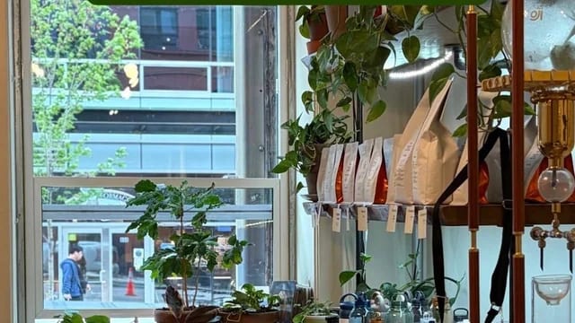 Linger Over Coffee at Rocanini