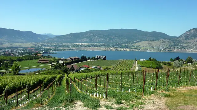 Naramata Bench: The Slow Wine Weekend