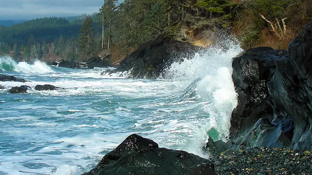Point No Point: Oceanfront Cabin Escape