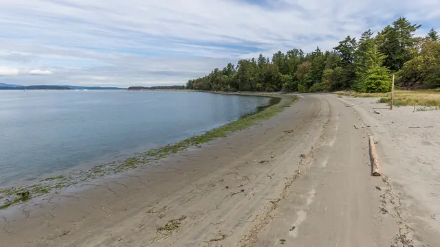 Sidney Spit Ferry Beach Day