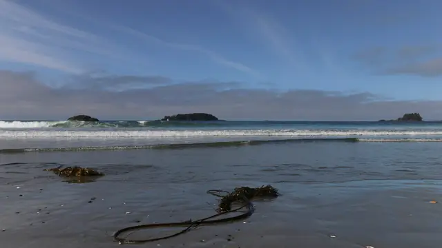 Tofino & Ucluelet: Storm-Watch & Surf Escape