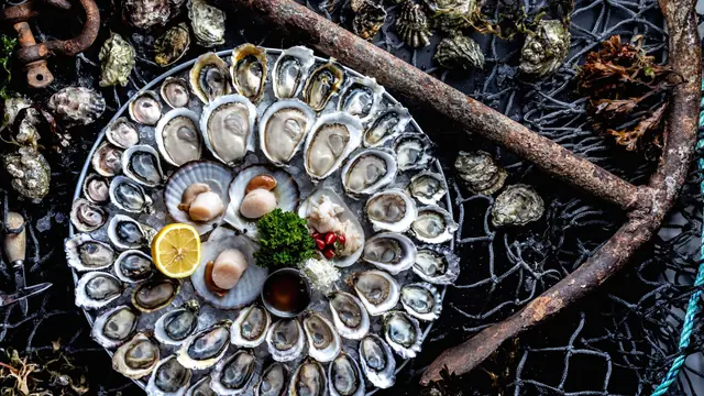 Oysters and Bubbles at Fanny Bay Oyster Bar