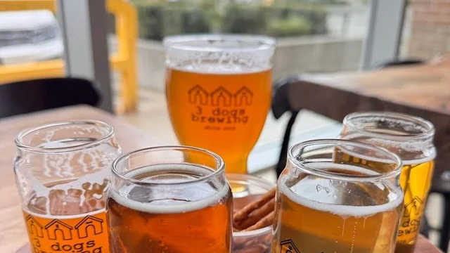 Pints & Live Music at 3 Dogs Brewing
