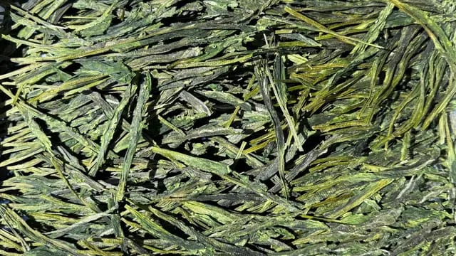 Sip Rare Tea Side-by-Side at O5