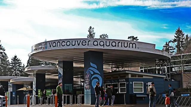 Get Lost in the Vancouver Aquarium