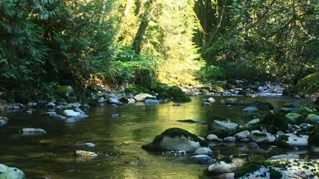 Chase Cliff Falls at Kanaka Creek