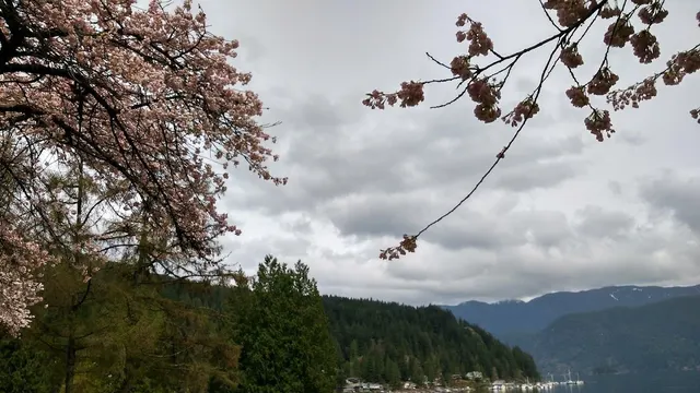 Deep Cove Daze