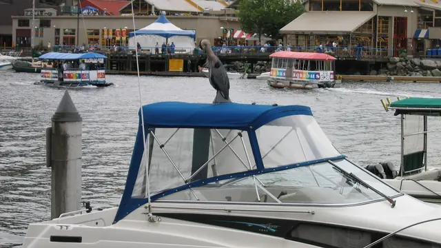 Ferry-Hop from English Bay to Granville Island