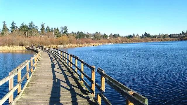 Floating Boardwalk at Swan Lake Nature Sanctuary